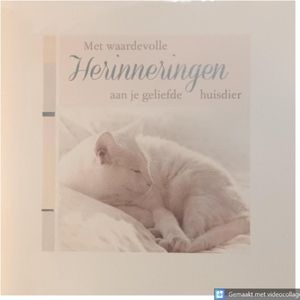 4 Luxe Huisdier Deelneming Condoleance Wenskaarten - 1 Motief - Oprechte Deelneming - Condoleance Pets - Sterkte - Sterfgeval - Paperclip Cards - Met Envelop - 13.5x13.5cm - Vierkant - Beileid Tier - Condolence Animal