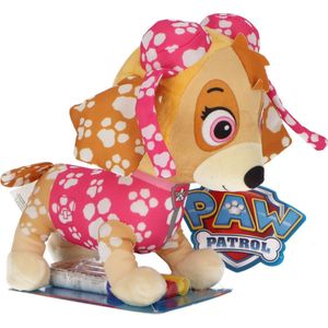 PAW PATROL DOODLE PUP IN TE KLEUREN + STIFTEN