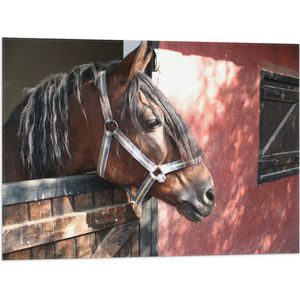 WallClassics - Vlag - Paard bij Staldeur - 80x60 cm Foto op Polyester Vlag
