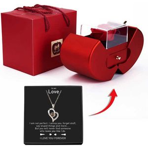 Eeuwige Bloem + Appelvormige Sieraden Doos + Zilveren Hartjes Ketting met ''I LOVE YOU'' in 100 talen Projectieglas - Kerstcadeau In Luxe Box met Roos - Verjaardag Geschenk - Romantisch Cadeau - Huwelijksaanzoek - Liefde - Valentijn - Apple Gift Box