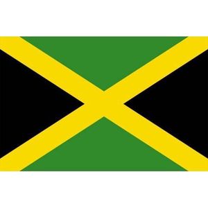 Vlag van Jamaica 90 x 150