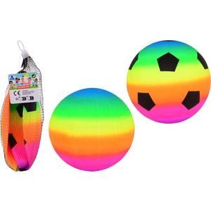 2 regenboog ballen in net maat 3 29661