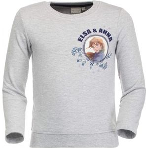 Disney - Frozen - Elsa en Anna - Sweater - Hologrampatroon - 100% katoen - 110/116