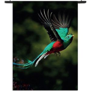 Velours Wandkleed Schitterende Vliegende Quetzal Vogel Rechthoek Verticaal XL (210 X 150 CM) - Wandkleden - Met roedes