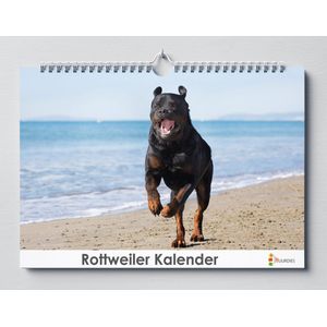 Rottweiler kalender 35x24 cm | Verjaardagskalender Rottweiler | Hondenras Rottweiler | Verjaardagskalender Volwassenen
