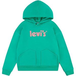 Levi's® Kids Meisjes Hoodie Winter Green Maat 158