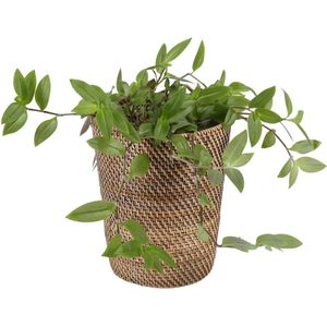 Rotan wasmand Cleo natuur