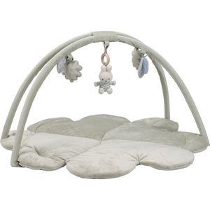 Nijntje x Little Dutch Speelkleed met boog - Lucky Leaves