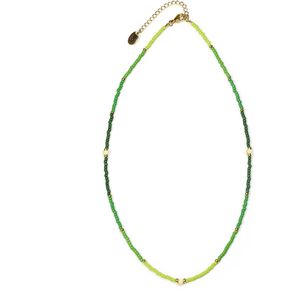 CO88 Collection 8CN-26342 Kralenketting met Miyuki Kralen - Groen Tinten - 40+5cm - Goudkleurig Slot