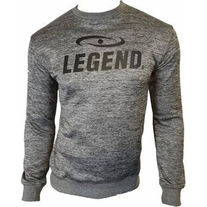 Legend Sports Sweater Heren Polyester Grijs Maat Xs