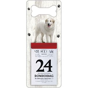 Scheurkalender 2024 Hond: Pyrineese Berghond