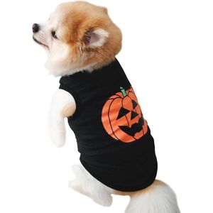 Halloween trui pompoen voor jouw Diva hondje hondenkleding pumpkin