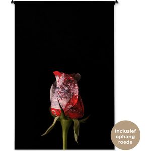 Wandkleed BloemenKerst illustraties - Rode bloem tegen zwarte achtergrond Wandkleed katoen 120x180 cm - Wandtapijt met foto XXL / Groot formaat!