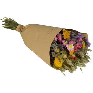 Veldboeket droogbloemen Multi Colori | Maat S - Hoogte boeket ± 35 centimeter | Per boeket te bestellen