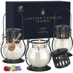 Mini Geurkaarsen Set - 3 Stuks Sojawas Aromatherapie Kaarsen in Lantaarn - Perfect Cadeau voor Moederdag, Valentijnsdag en Kerstmis