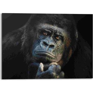 Alu-Dibond Gorilla 100x140 cm
