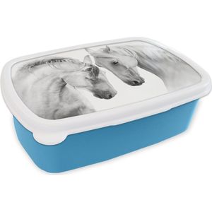 Broodtrommel Blauw - Lunchbox - Brooddoos - Paard - Dieren - Portret - Wit - 18x12x6 cm - Kinderen - Jongen