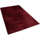 EVREN - Shaggy vloerkleed - Rood - 200 x 300 cm - Polyester