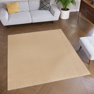 Tapiso Mono Square Vloerkleed Beige Laagpolig Vierkant Tapijt Maat- 200x200