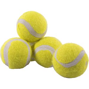 Rosewood Jolly Doggy Tennisbal Mini
