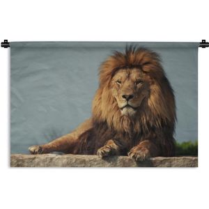 Wandkleed Leeuw - nieuw - Liggende leeuw Wandkleed katoen 180x120 cm - Wandtapijt met foto XXL / Groot formaat!