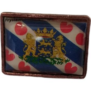 Pin friese vlag
