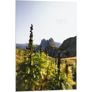 WallClassics - Vlag - Bloemen en Vogels bij Bergen - 60x90 cm Foto op Polyester Vlag