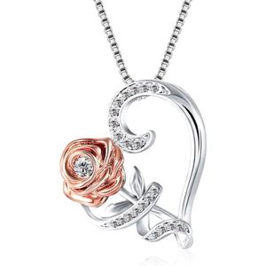 Bixorp Zirkonia Roos & Hart Ketting - Zilverkleurig & Rose Goud