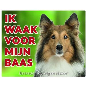 Shetland Sheepdog Waakbord - Ik waak voor Bruin