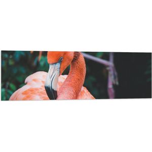 WallClassics - Vlag - Close-Up van een Flamingo - 120x40 cm Foto op Polyester Vlag