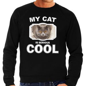 Britse korthaar katten trui / sweater my cat is serious cool zwart - heren - katten / poezen liefhebber cadeau sweaters M