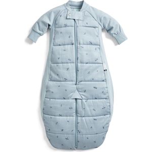 Ergopouch Sleepsuit Slaapzak - 2,5 Tog - 3-12 md - Slaapzak Baby - Slaapzakken - Slaapzak baby winter - Dragonflies