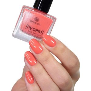 alessandro Hybrid Colour Pomegranate nagel gel coat Rood