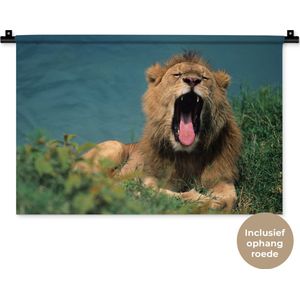 Wandkleed Leeuwen - Gapende leeuw Wandkleed katoen 60x40 cm - Wandtapijt met foto