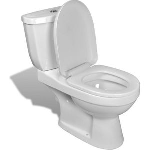 vidaXL Toilet met stortbak (wit)