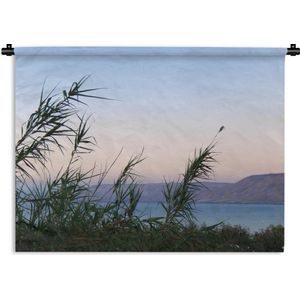 Wandkleed Meer van Galilea - Een silhouet van riet aan het Meer van Tiberias in Israël Wandkleed katoen 120x90 cm - Wandtapijt met foto