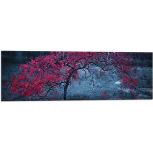 WallClassics - Vlag - Boom met Rode Bladeren - 90x30 cm Foto op Polyester Vlag