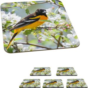 Onderzetters voor glazen - Vogel - Bloesem - Onderzetters - Bloemen - 10x10 cm - 6 stuks