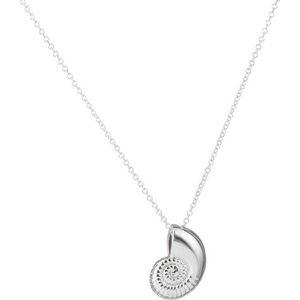 24/7 Jewelry Collection Zeeschelp Ketting - Schelp - Zilverkleurig