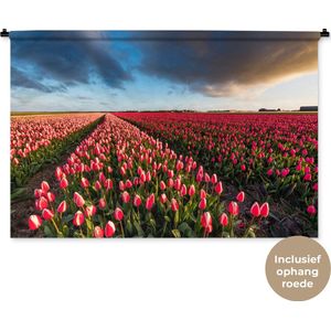 Wandkleed Landschappen Nederland - Kleurrijke tulpen in Nederlands landschap Wandkleed katoen 150x100 cm - Wandtapijt met foto