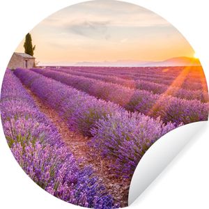 WallCircle - Behangcirkel - Lavendel - Bloemen - Zonsondergang - Natuur - Behang rond - Zelfklevend behang - 80x80 cm - Behangcirkel bloemen - Behangsticker - Cirkel behang