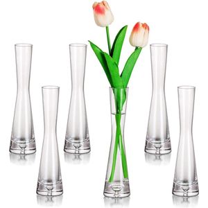 Bloemenvaas, moderne glazen vazen, smal, 6 stuks, 24,5 cm hoog, Blomus vaas, glazenset, handgemaakt, smalle vazen, woonkamer, eettafel, tafeldecoratie, tulpenvaas, decoratieve vaas voor
