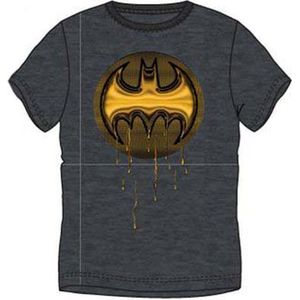 Batman heren t-shirt, volwassenen, grijs, maat S