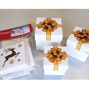 Geschenkdoosjes - Kraft geschenkdoosjes - Set van 6