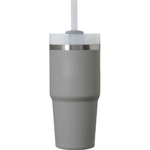 Quencher H2.0 Flowstate Roestvrij Staal Vacuüm Geïsoleerde Beker - Met Deksel En Rietje - Voor Water Ijsthee Koffie Smoothies En Meer - Steen - 14 Oz