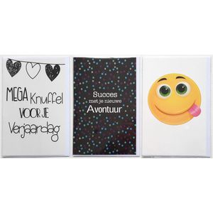 3 Wenskaarten - Succes met je nieuwe Avontuur + Mega Knuffel + Blanco Kaart Smiley - 12 x 17 cm – BED-303