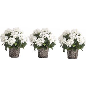 3x Kunstplanten Hortensia wit in rieten mand 45 cm - Kunstplanten/nepplanten