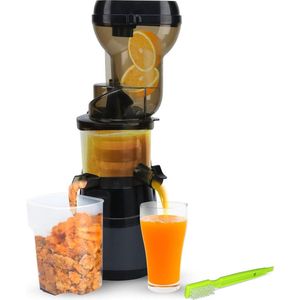 Slowjuicer - Sapcentrifuge - Slow Juicer - Juicer - Groente En Fruit