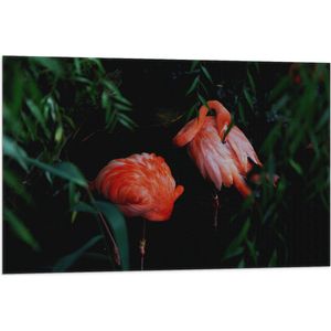 WallClassics - Vlag - Felroze Flamingo's tussen Donkergroene Bladeren - 90x60 cm Foto op Polyester Vlag