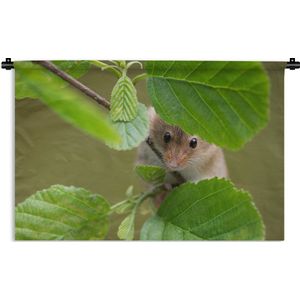 Wandkleed Baby Dieren - Dwergmuis spiekt door de bladeren Wandkleed katoen 150x100 cm - Wandtapijt met foto